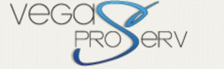 Vegas Pro Serv | Nevada Process Servers